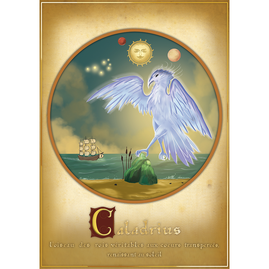 Caladrius parfum artisanal suisse Elganaur, création botanique inspirée de l’oiseau mythique et du monde imaginal.
