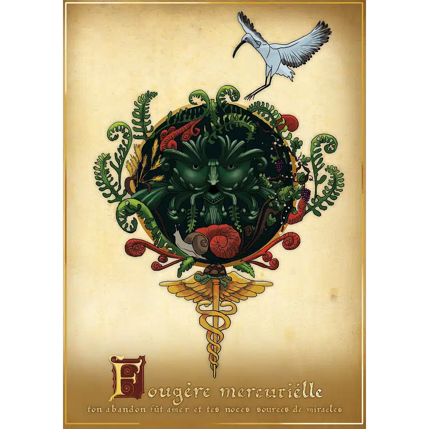 Planche illustrée du parfum Fougère Mercurielle par Elganaur, parfum fougère artisanal suisse inspiré du monde imaginal et botanique.