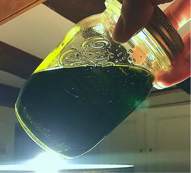 Eau de Hongrie verte émeraude illustrant les origines alchimiques de la parfumerie botanique