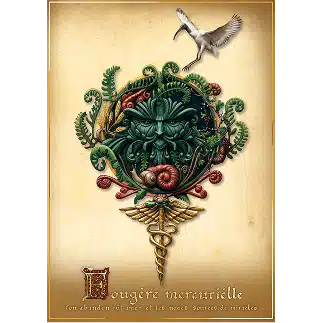 Homme Feuillu (Green Man) entouré de fougères, ibis et caducée de Mercure, illustration parfum botanique Elganaur