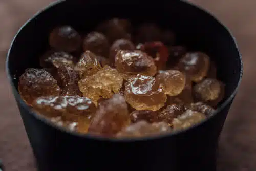 Résine d’oliban issue du Boswellia sacra utilisée en parfumerie antique