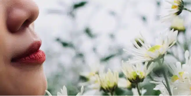 Femme respirant des fleurs, évocation du lien entre odorat, parfum et mémoire